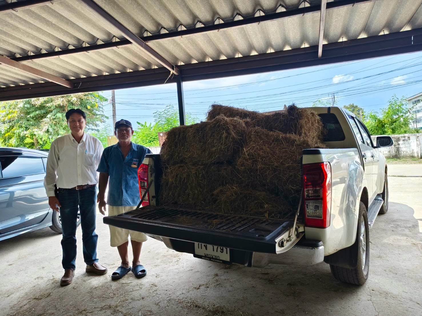 ปศุสัตว์นครนายก เร่งช่วยเหลือเกษตรกรผู้เลี้ยงโค กระบือ ที่ได้รับผลกระทบจากน้ำท่วม